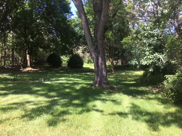 Casa em Framingham — foto 4