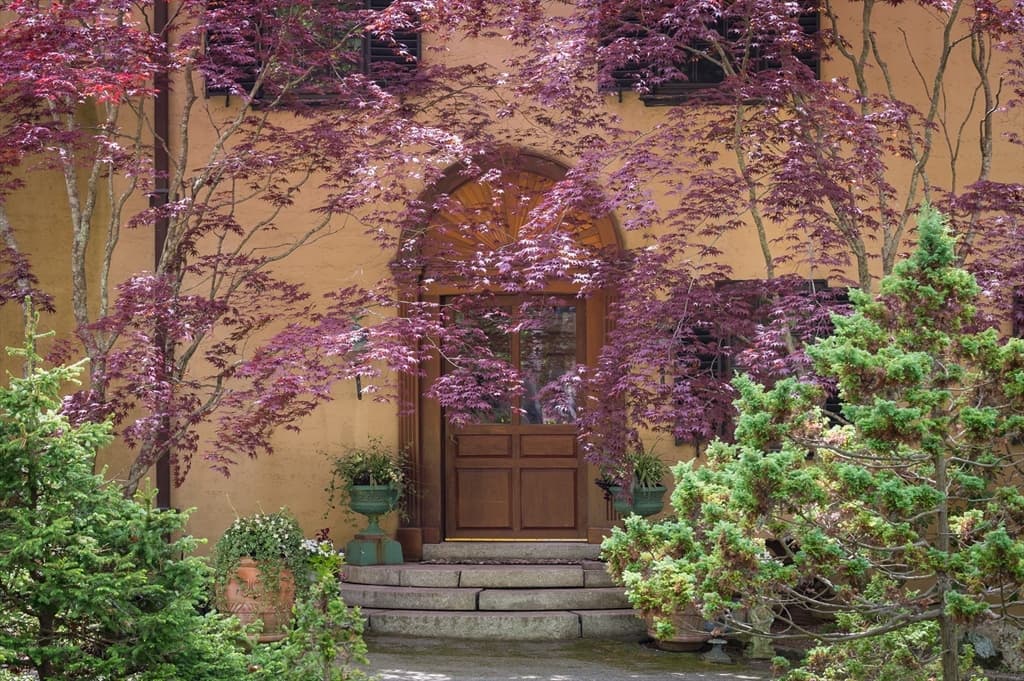 Casa em Beverly — foto 5