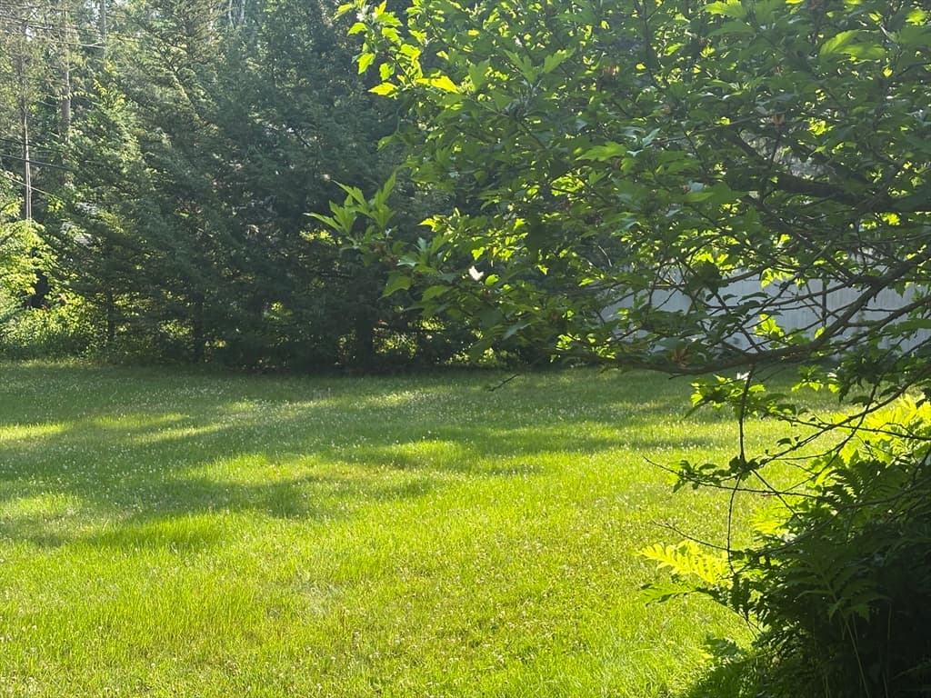 Multi-família em Worcester — foto 7
